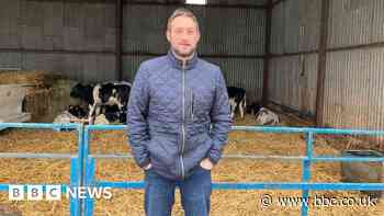 Farmers and vets facing mass cull trauma need more help