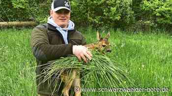 Mit Drohnen: Kitzretter im Kreis Calw  nehmen  Arbeit auf