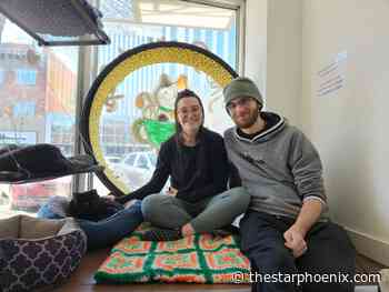 Cat cafe helps homeless felines find a forever home