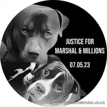 Limehouse dog shooting: Dog lovers call nationwide vigil