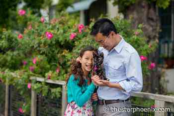 What does it take to be a responsible pet owner?