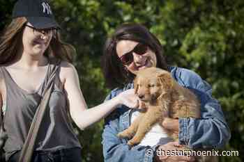 How to welcome a new pet into your family