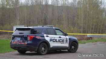 Thunder Bay police investigating after body discovered in the city's south end