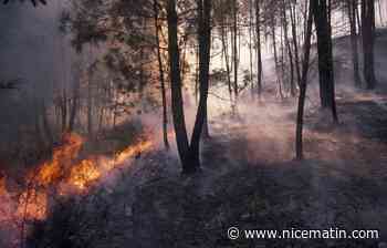 Un feu de forêt "hors de contrôle" oblige à faire évacuer 700 personnes en Espagne