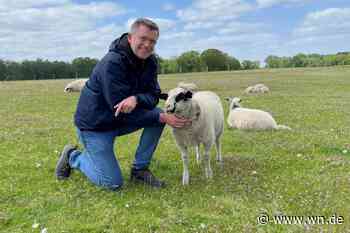 Süße Esel, schwarze Tomaten und viele „Aha“-Effekte