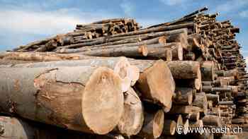 Verkauf von Pelletheizungen um 20 Prozent gestiegen