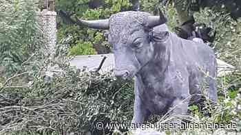 30-Jähriger verletzt sich bei Sturz von Bronzestatue in Thalfingen