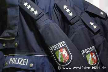 Rahden: Diebe stehlen Kupferspäne