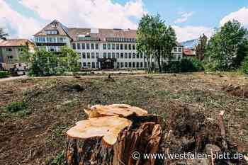 Schulleiter in Paderborn mussten nach dem Tornado improvisieren