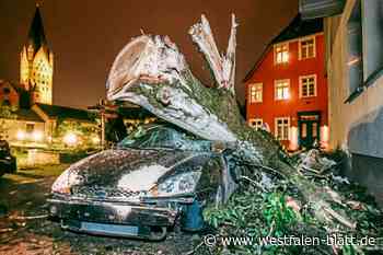Tornado 2022 in Paderborn: In wenigen Minuten wurde alles zerstört