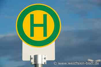 Warburg: Schüler bekommen 49-Euro-Ticket zum 1. August