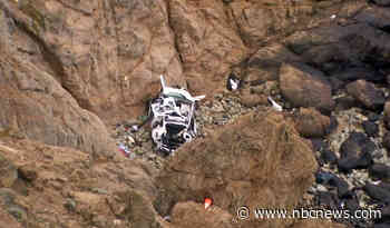 Wife of radiologist who drove Tesla off cliff with family inside said he did it 'on purpose,' docs reveal