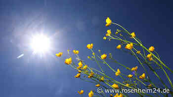 Internationaler Museumstag am Sonntag, 21. Mai