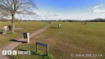 Bristol Downs committee make progress over its future
