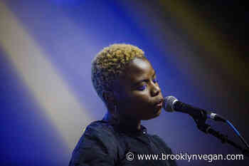 Vagabon, Geese, DOMi & JD Beck, more playing free show series at Hudson Yards