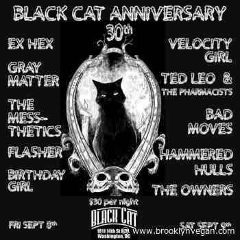 Velocity Girl and Gray Matter reuniting for DC venue Black Cat's 30th anniversary