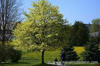 British Columbians seeing worsened allergy symptoms with quick start to hot weather