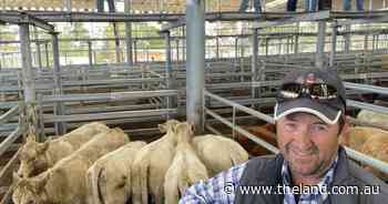 Singleton store sale's reduced yarding