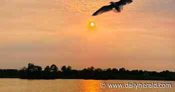 Northern Illinois' striking red sunsets a result of unprecedented Canadian wildfires
