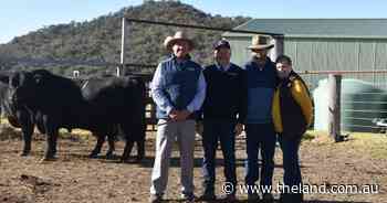 Speriby North Angus average $17,036