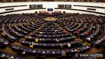 „Das EU-Parlament sperrt uns aus, wenn unsere Ermittlungen Abgeordnete betreffen“