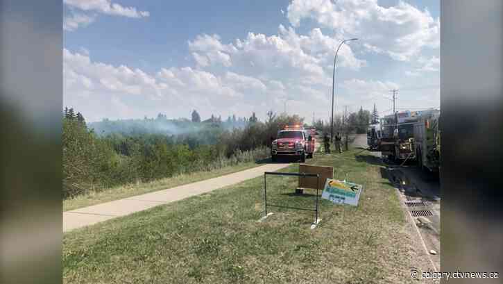Cigarette suspected of sparking southwest Calgary grass fire