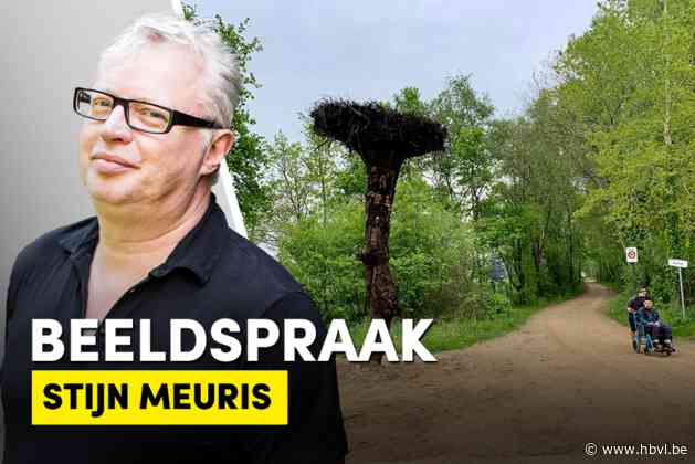 Stijn Meuris over het beeld van de week: Eikes