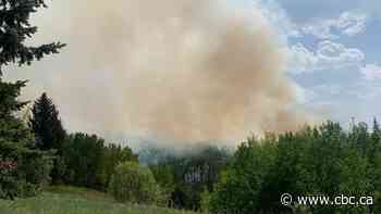 Residents pull out garden hoses to help combat southwest Calgary ravine fire