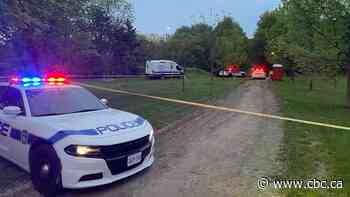 Woman dead after stabbing in Brampton park, man in custody, police say