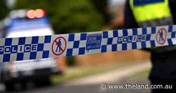 Man dies after car crashes into tree in single-vehicle accident