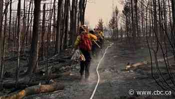 Alberta closes 12 provincial parks to reduce human-caused fires