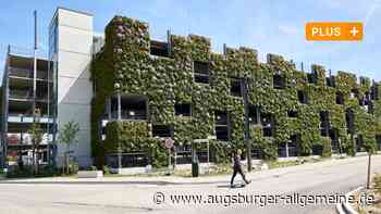 Innovatives Projekt: Hier steht Augsburgs größte Grünfassade