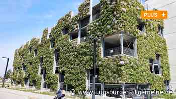 Stadtgrün satt in Augsburg: Mehr tun, nicht mehr vorschreiben