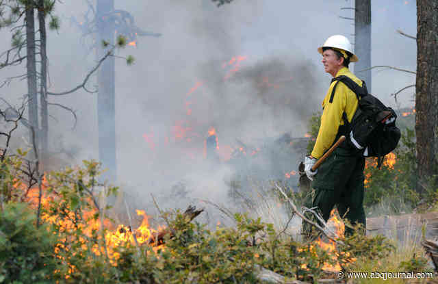 Controlled burns limit destruction from wildfires