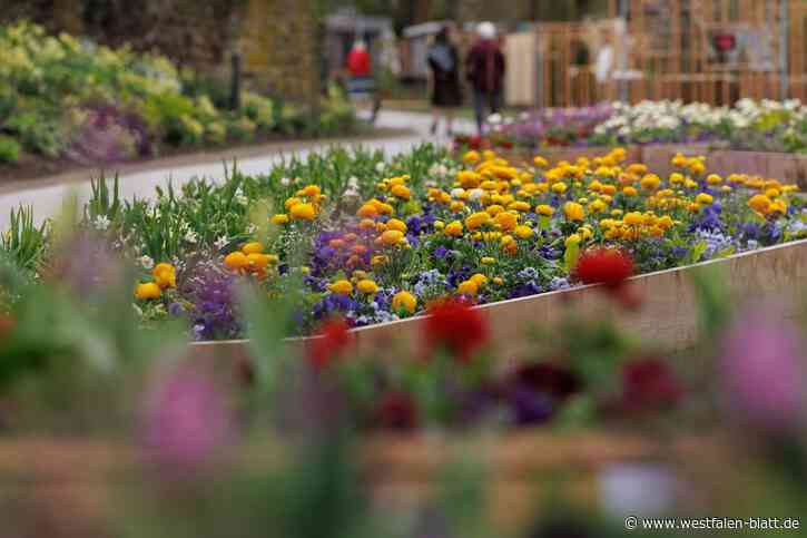 Vier Wochen: 65.000 Besucher bei Landesgartenschau in Höxter