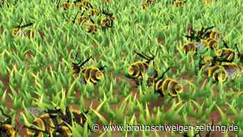 Videografik: Bienensterben bedroht ganze Ökosysteme