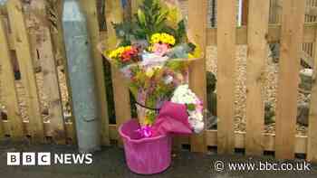 Calne girl, 3, died after being hit by reversing delivery van