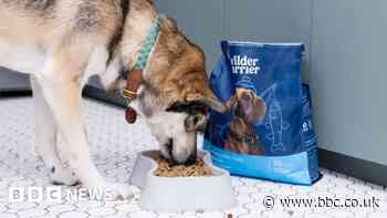 'We are selling a product that we hope gets discontinued'