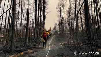 Ash pits and weak trees: Wildfire dangers to watch for when returning home
