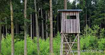 Volkach: Plötzlich löste sich ein Schuss - Jäger schläft in Hochsitz ein und schießt sich selbst an