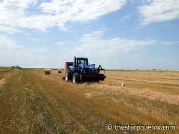 Doug Cuthand: First Nations people struggled under farming treaties