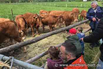 Kalletal: Heimatverein Erder schaut nach den Tieren