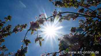 Wetter in Deutschland: bis zu 29 Grad am Sonntag und Montag