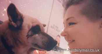 Dog stabbed on streets of Thailand was rescued - and then nearly died in UK