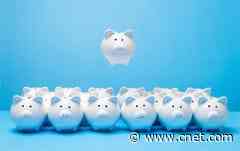 Best High-Yield Savings Accounts     - CNET