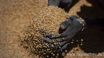 G7-Gipfel in Japan: 21 Milliarden Dollar gegen den Hunger