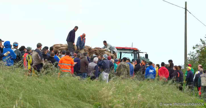 Una catena umana per rinforzare l’argine del Reno: centinaia di cittadini al lavoro per salvare Conselice dall’inondazione
