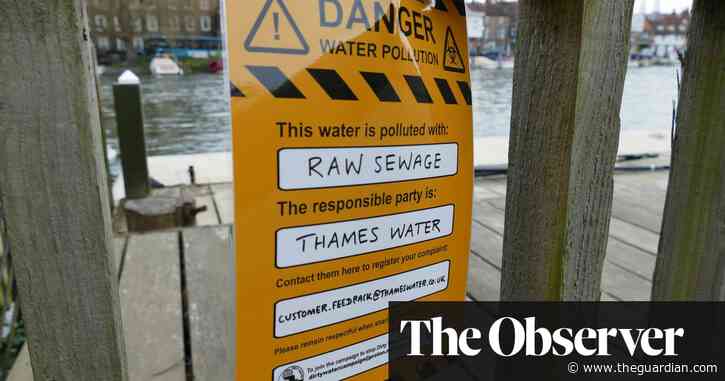 ‘The whole thing stinks’: UK water firms to pay out £14.7bn in dividends as customers foot sewage costs