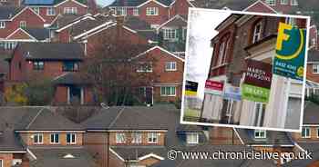 Seven-step plan if you're struggling to pay your rent in the cost of living crisis