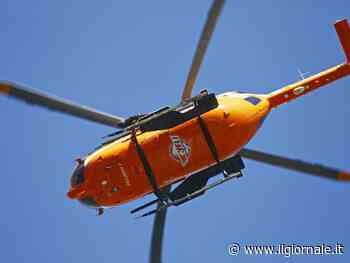 Un toro si libera dal recinto e incorna padre e figlio: che cosa è successo